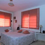 San Francisco Javier Cordoba